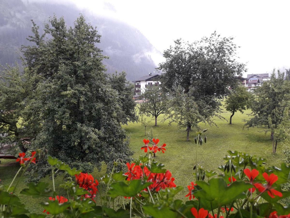 Nieslerhof Vila Mayrhofen Exterior foto