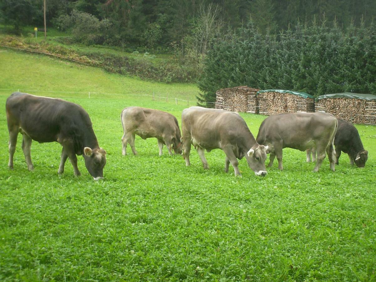 Nieslerhof Vila Mayrhofen Exterior foto