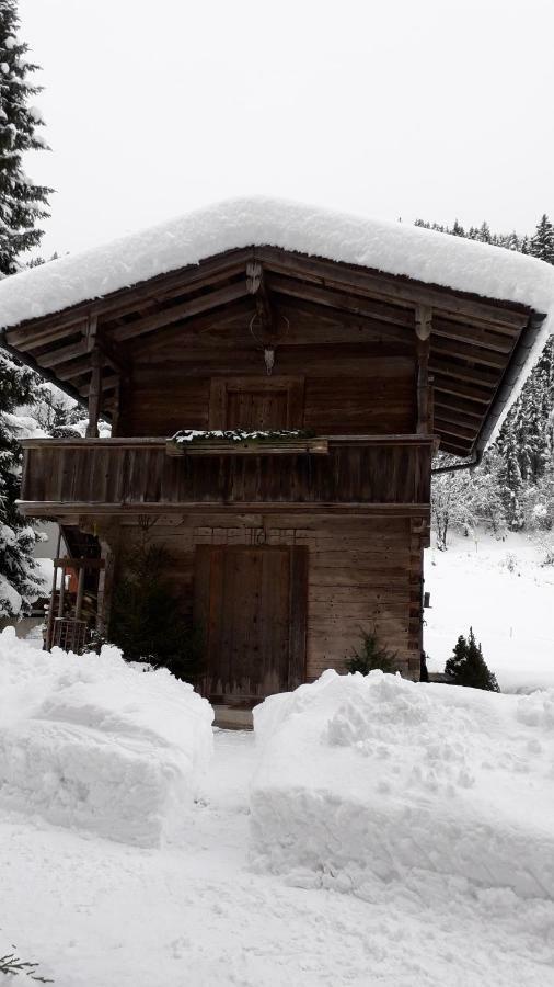 Nieslerhof Vila Mayrhofen Exterior foto